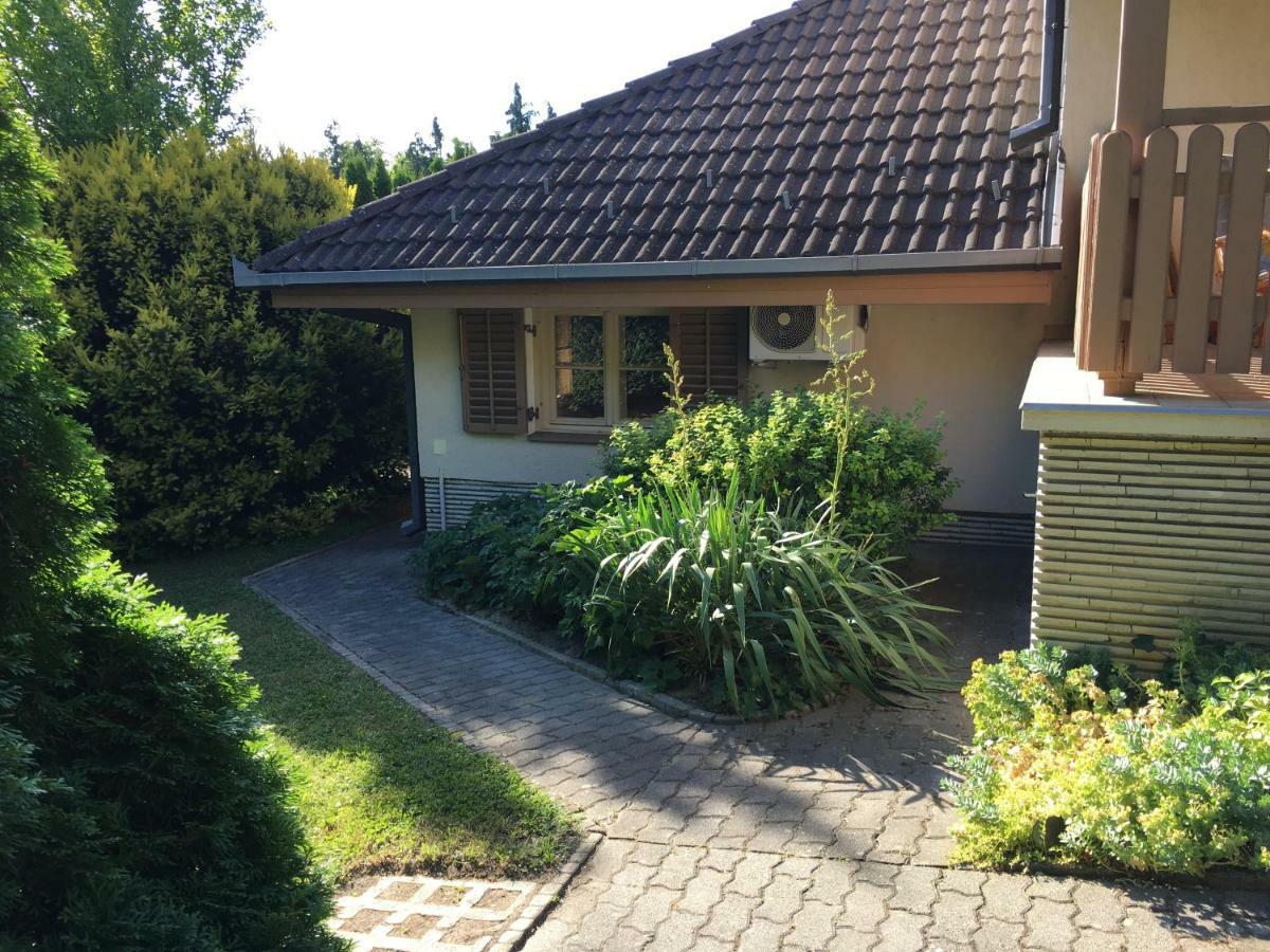 BalatongyörökAndre & Moni公寓 外观 照片