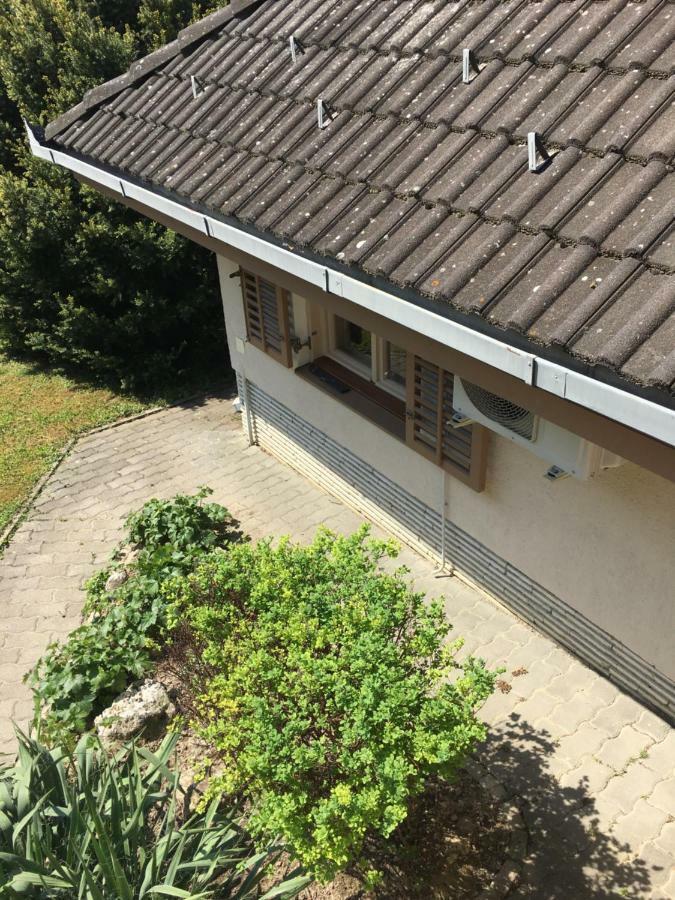 BalatongyörökAndre & Moni公寓 外观 照片