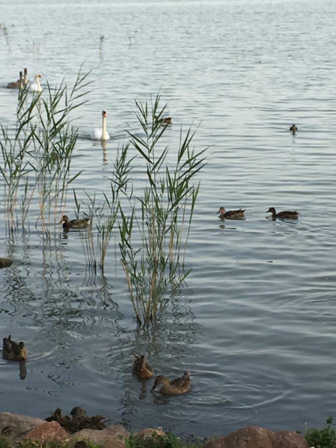 BalatongyörökAndre & Moni公寓 外观 照片