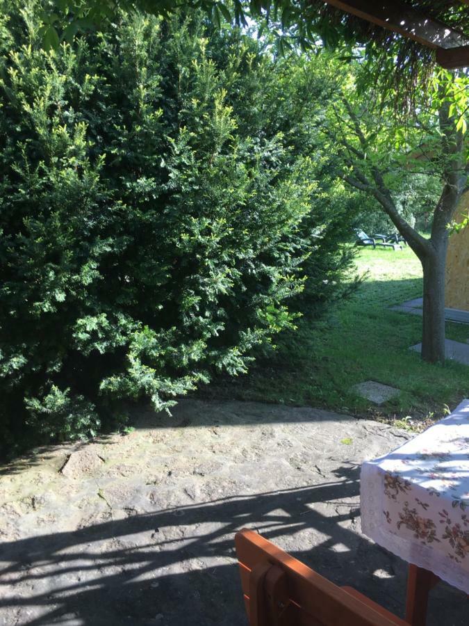 BalatongyörökAndre & Moni公寓 外观 照片
